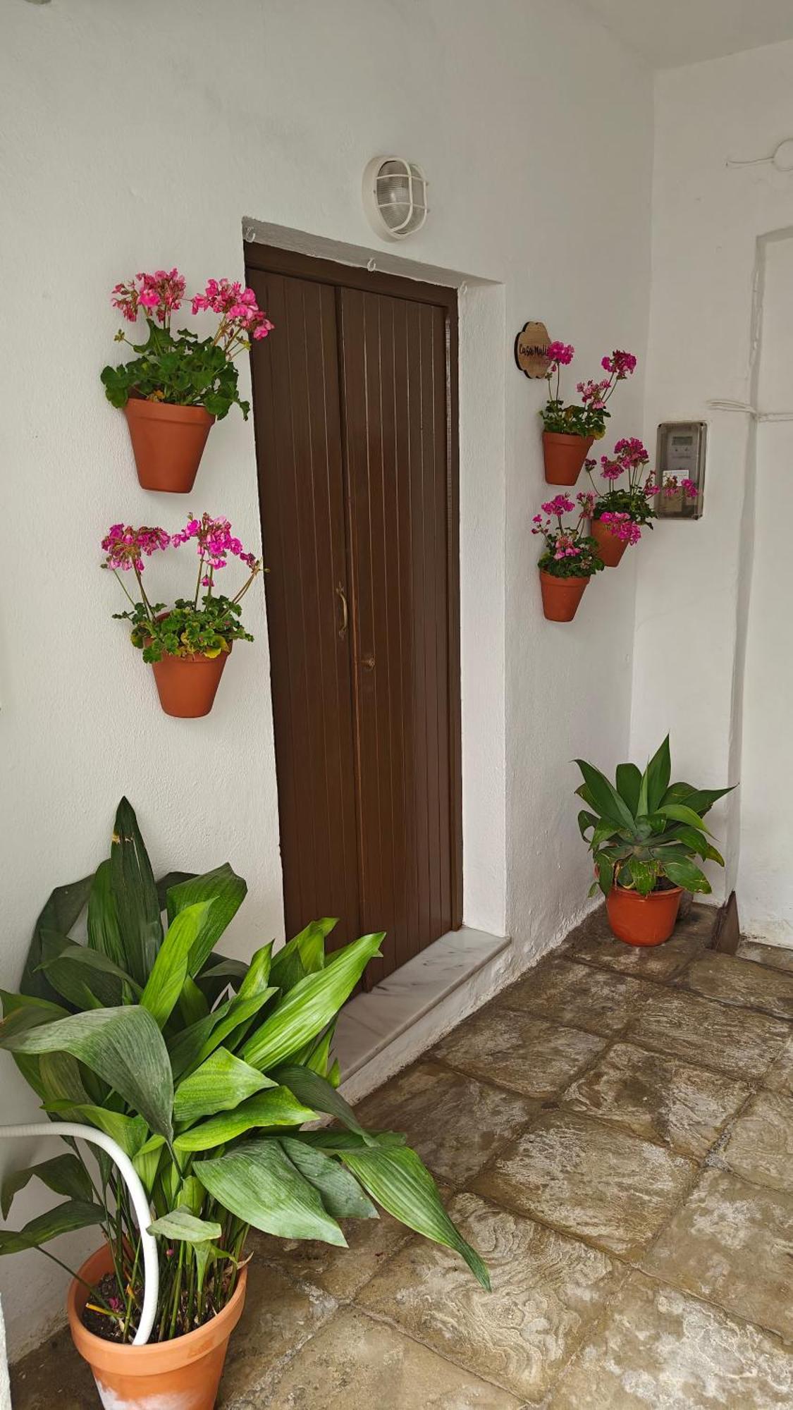 Casa Malia Apartamento Recien Reformado En Centro 贝赫尔-德拉弗龙特拉 外观 照片